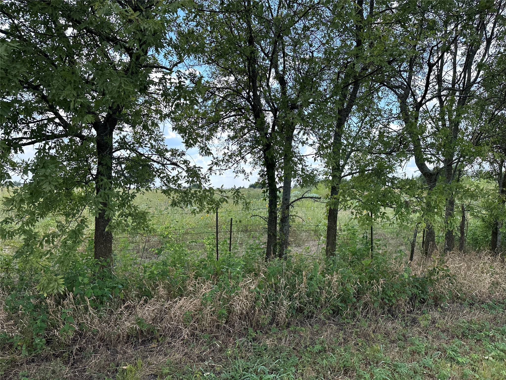 Lot 1 Rutledge Road Whitewright TX 75491
