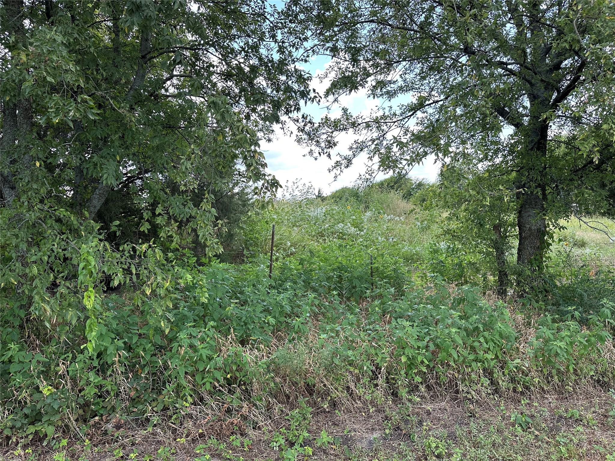 Lot 1 Rutledge Road Whitewright TX 75491