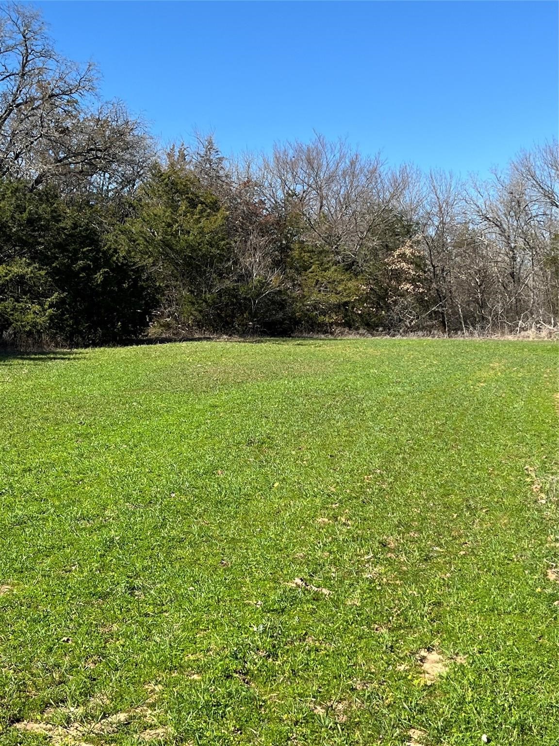 Tbd County Road 108 Whitesboro TX 76273