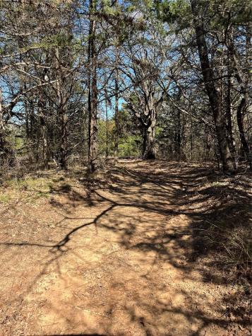 Tbd County Road 108 Whitesboro TX 76273