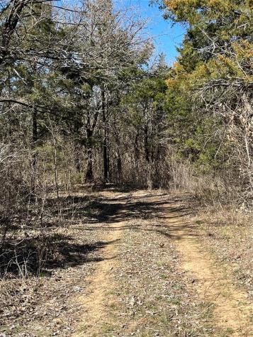 Tbd County Road 108 Whitesboro TX 76273