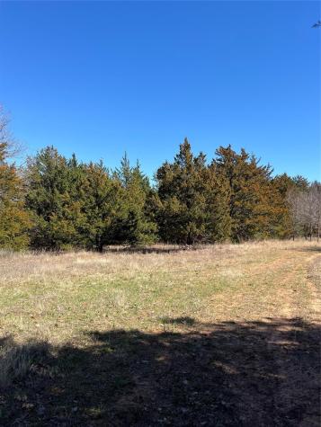 Tbd County Road 108 Whitesboro TX 76273
