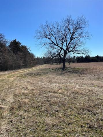 Tbd County Road 108 Whitesboro TX 76273