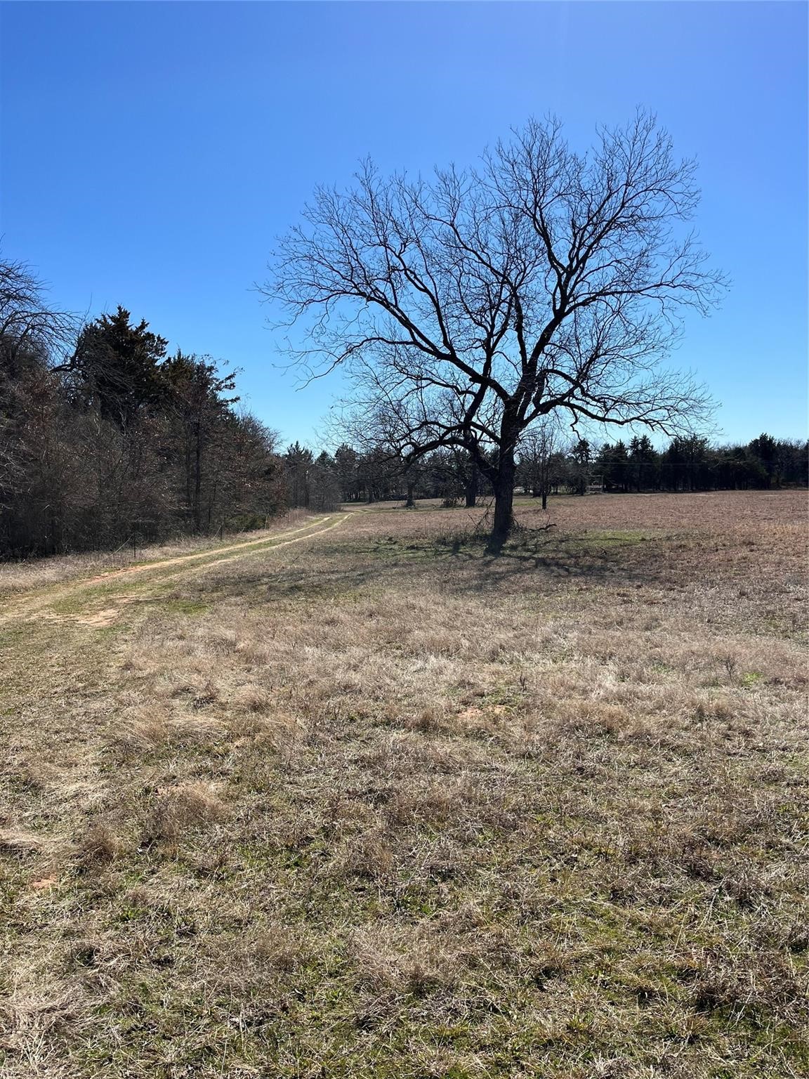 Tbd County Road 108 Whitesboro TX 76273
