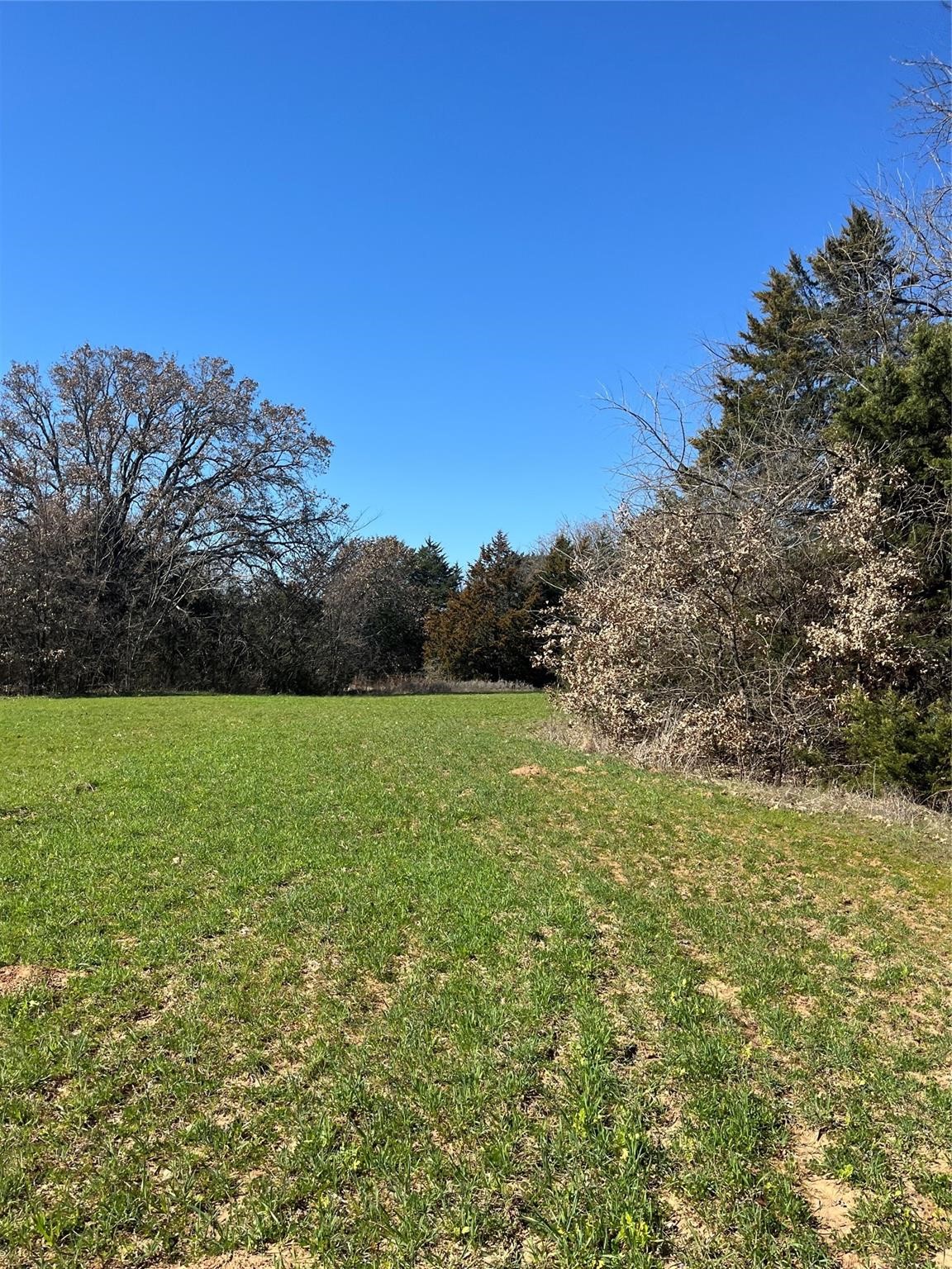 Tbd County Road 108 Whitesboro TX 76273