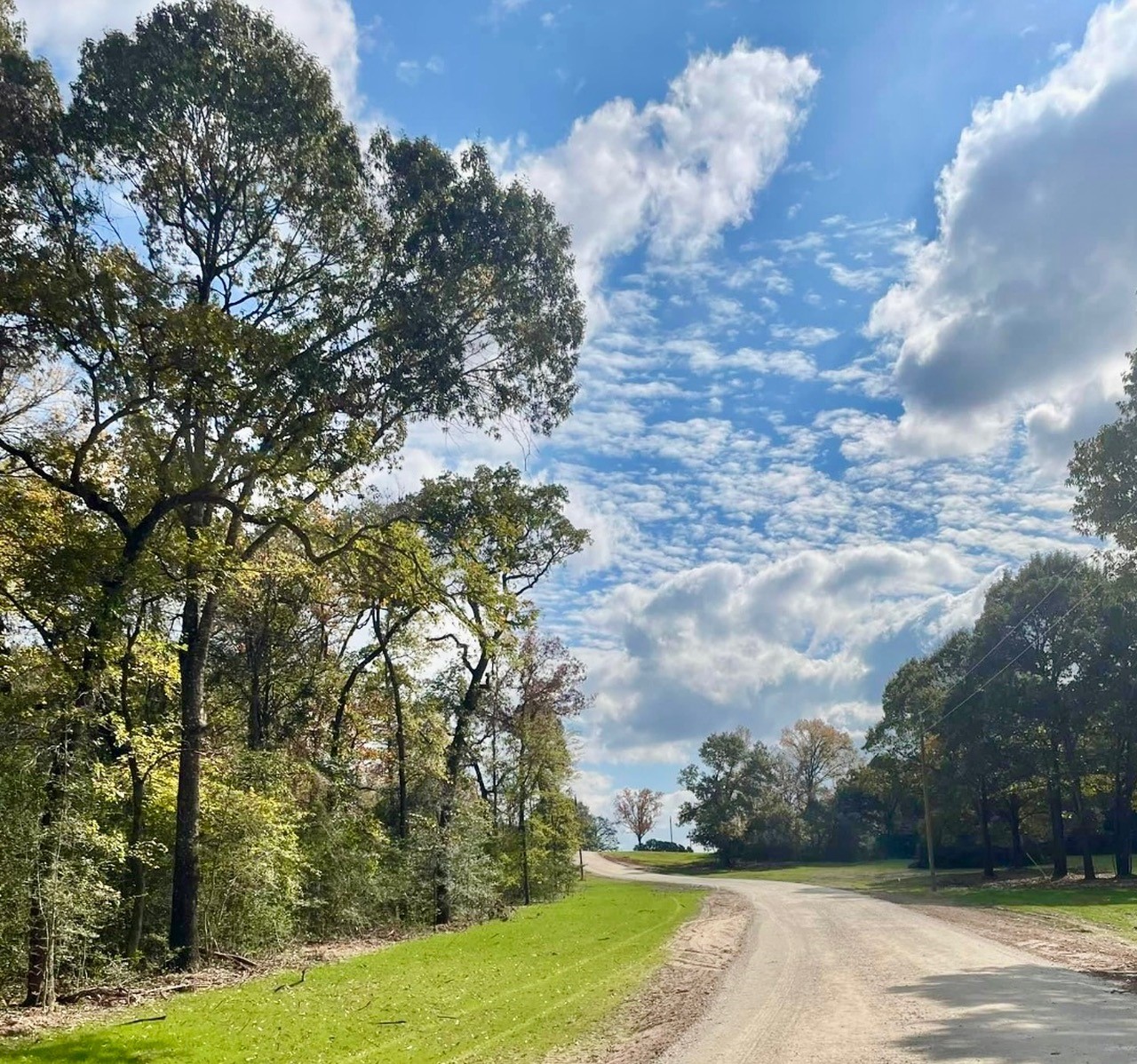 009 County Road 242 Oakwood TX 75855