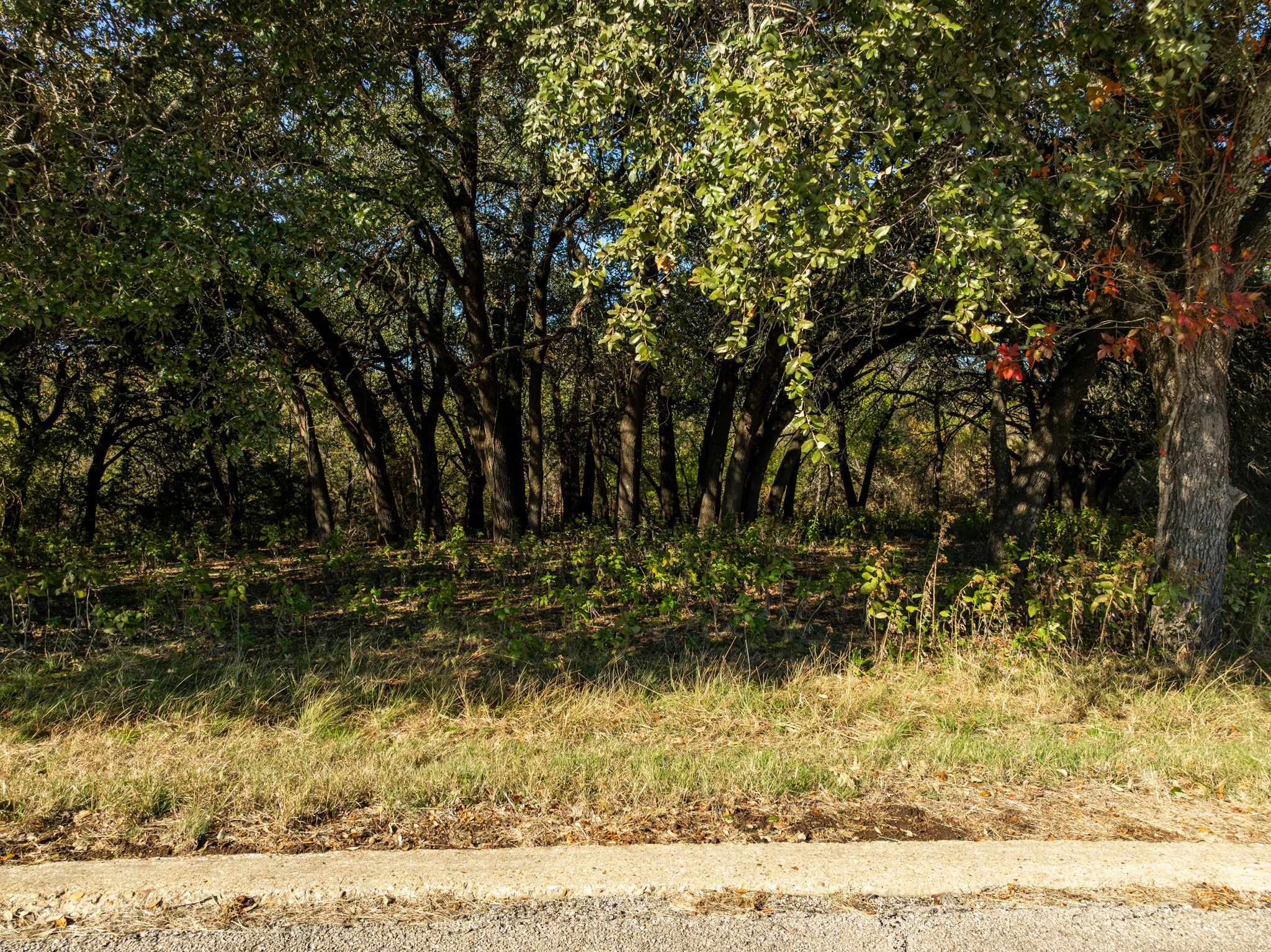 42018 Preston Trail Whitney TX 76692