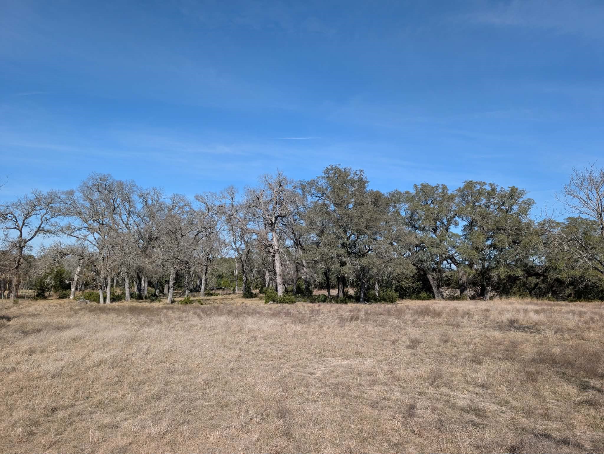 Tract 2 County Road 208 Lampasas TX 76550