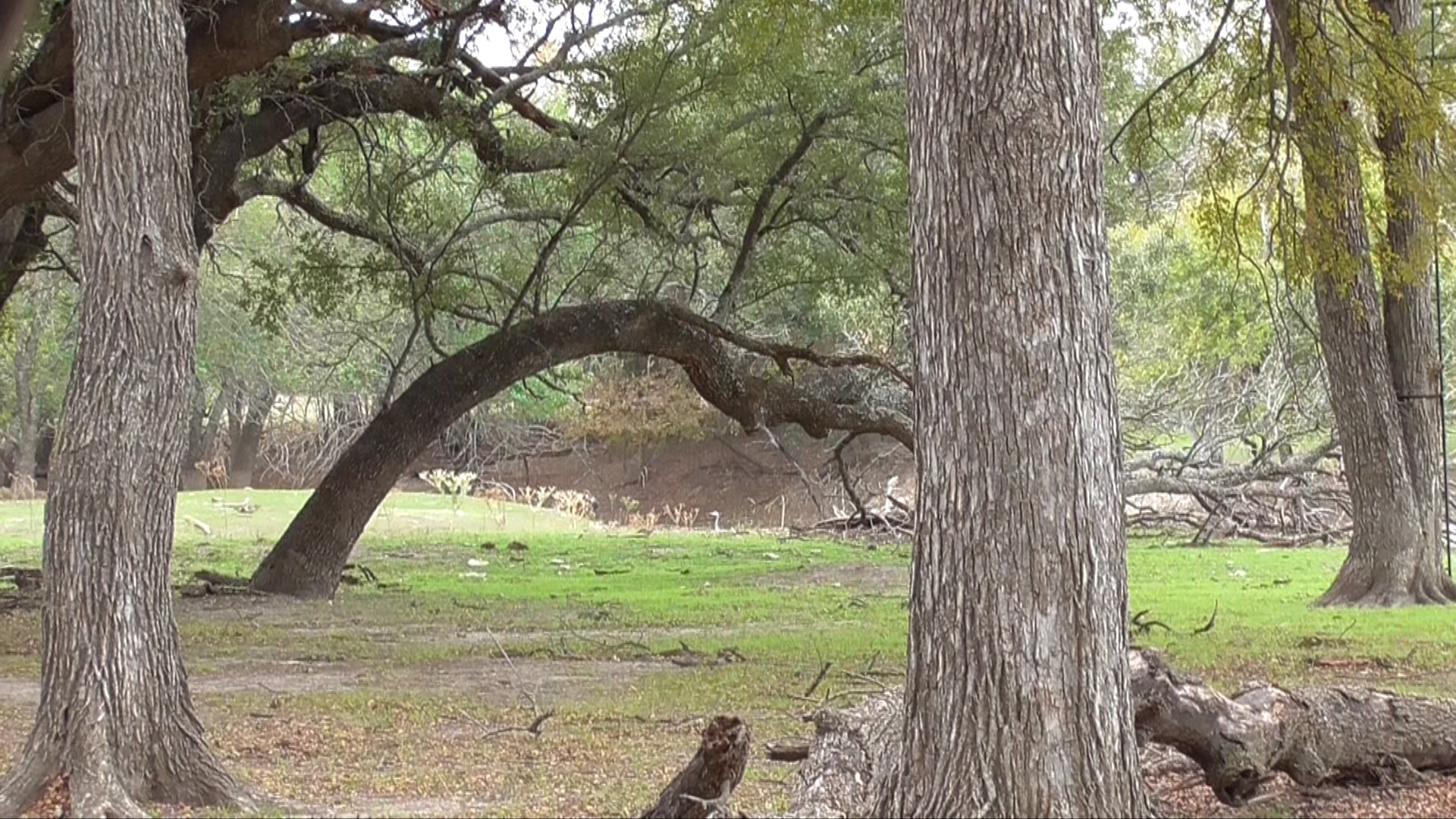 Tract 2 County Road 208 Lampasas TX 76550