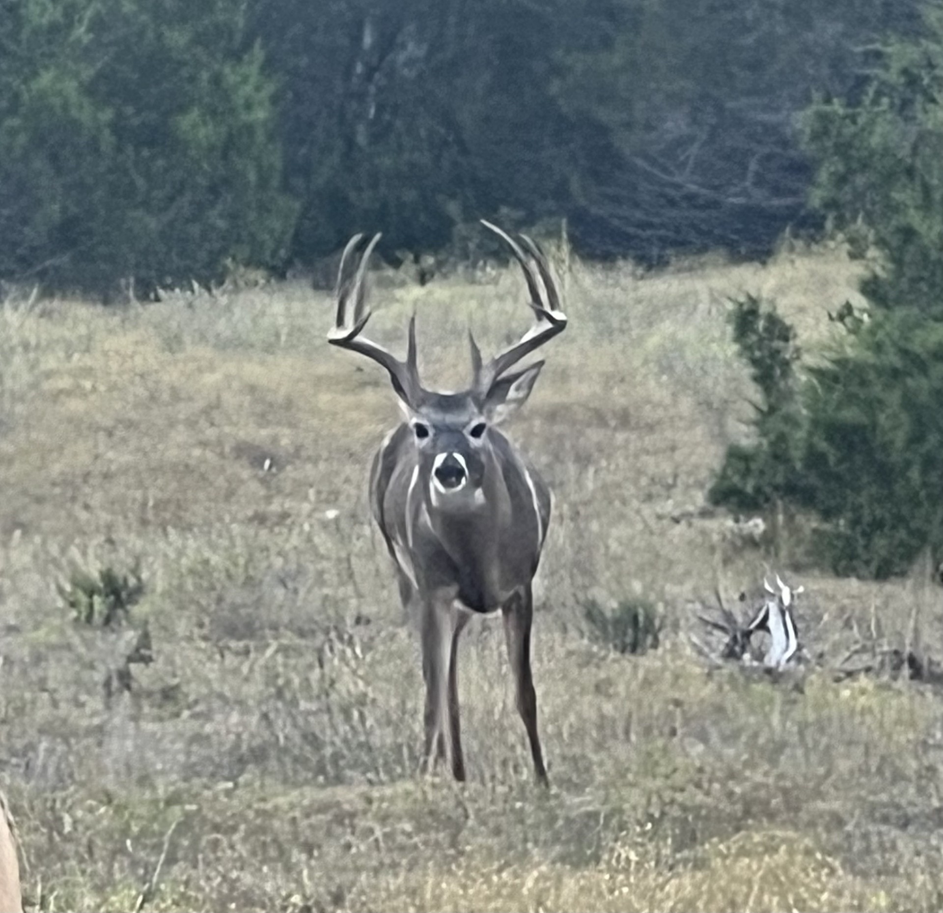 Tract 2 County Road 208 Lampasas TX 76550