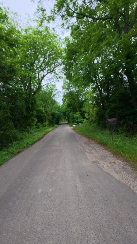 2266 County Road 2266 Quinlan TX 75474