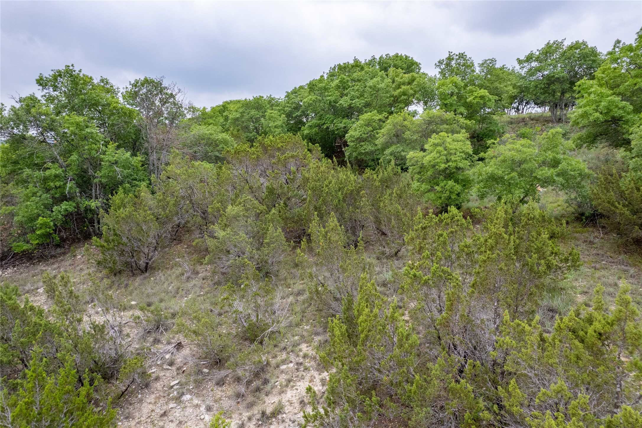 1805 Lakeside Bluff Dale TX 76433