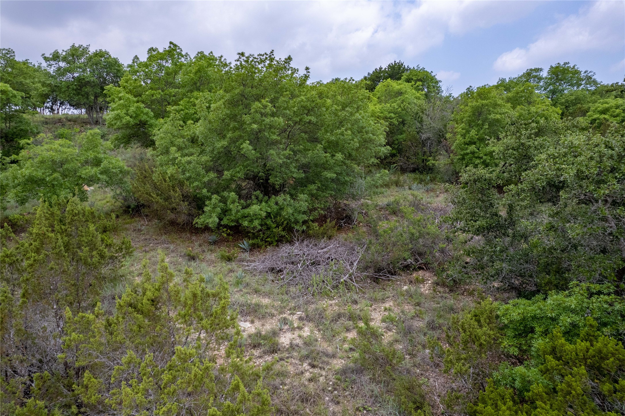1805 Lakeside Bluff Dale TX 76433