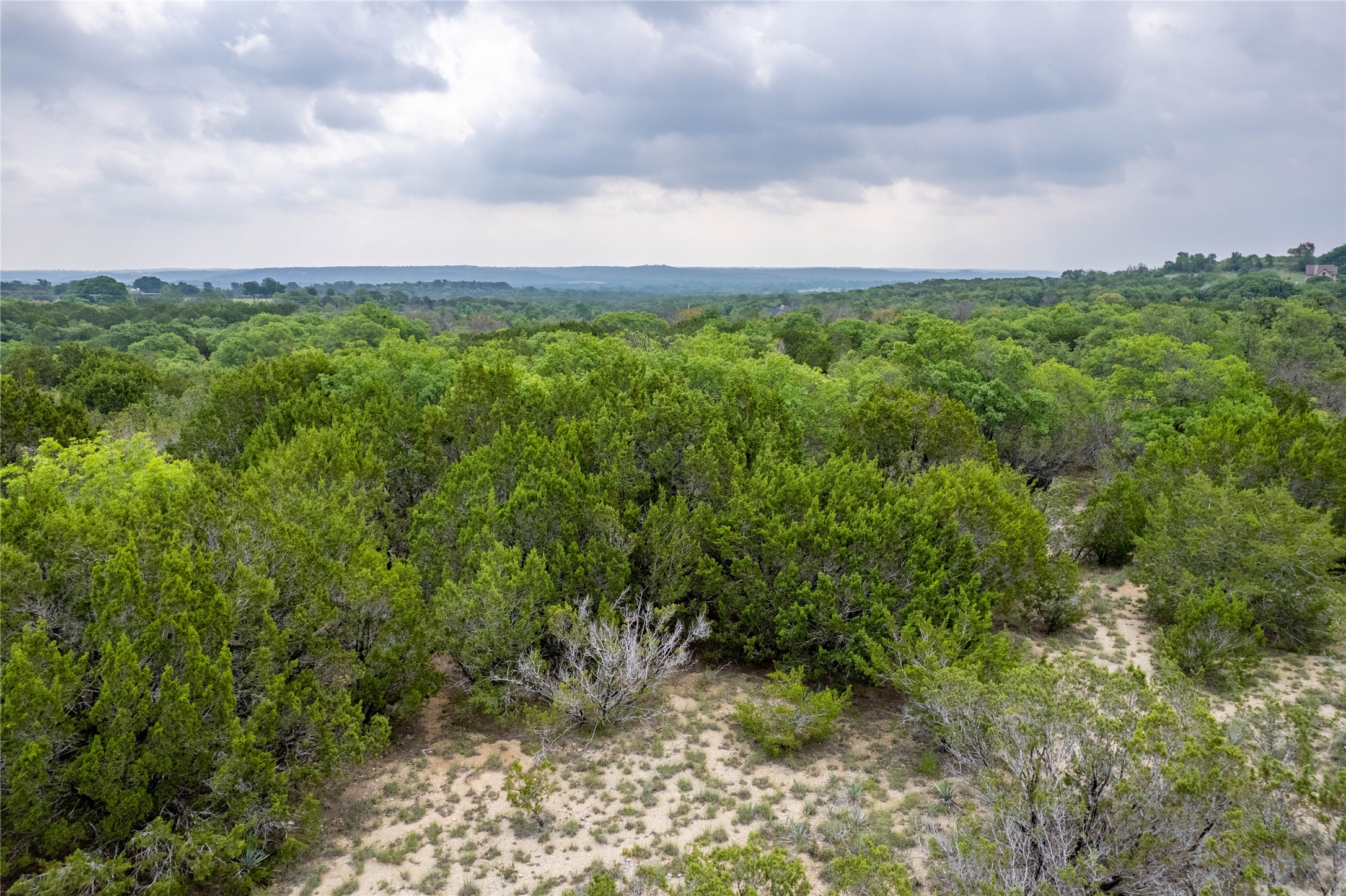 1805 Lakeside Bluff Dale TX 76433