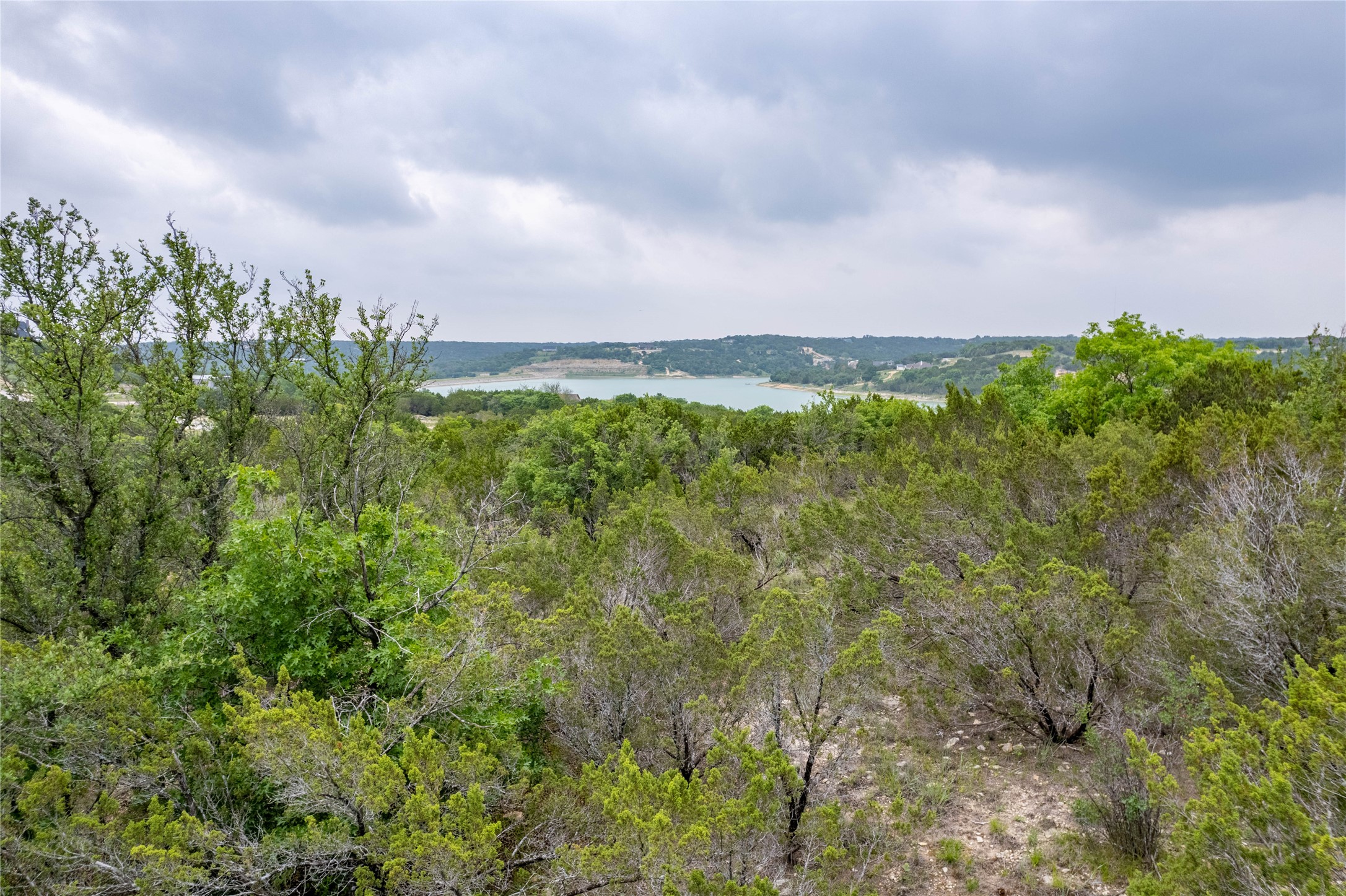 1805 Lakeside Bluff Dale TX 76433