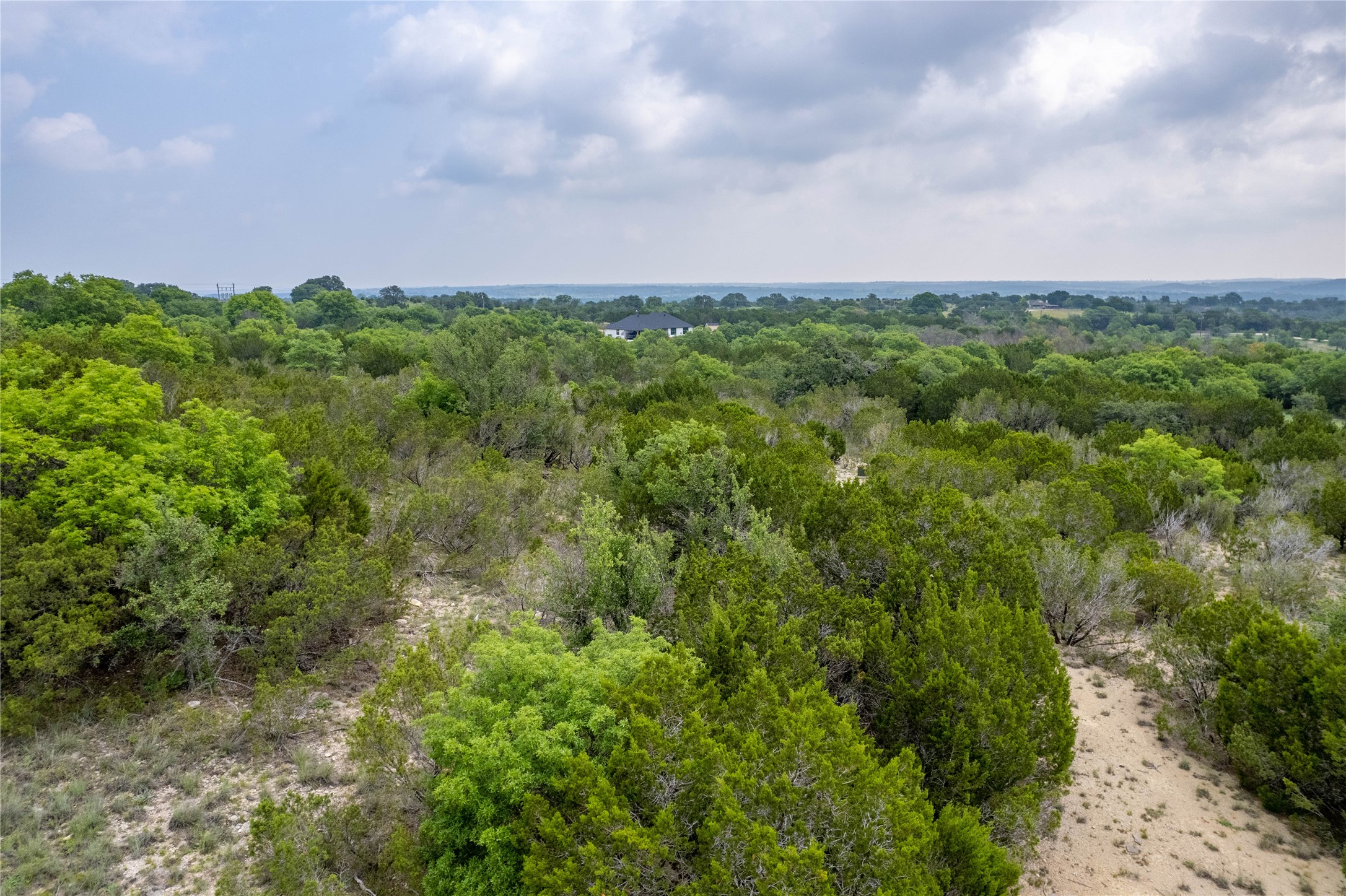 1805 Lakeside Bluff Dale TX 76433