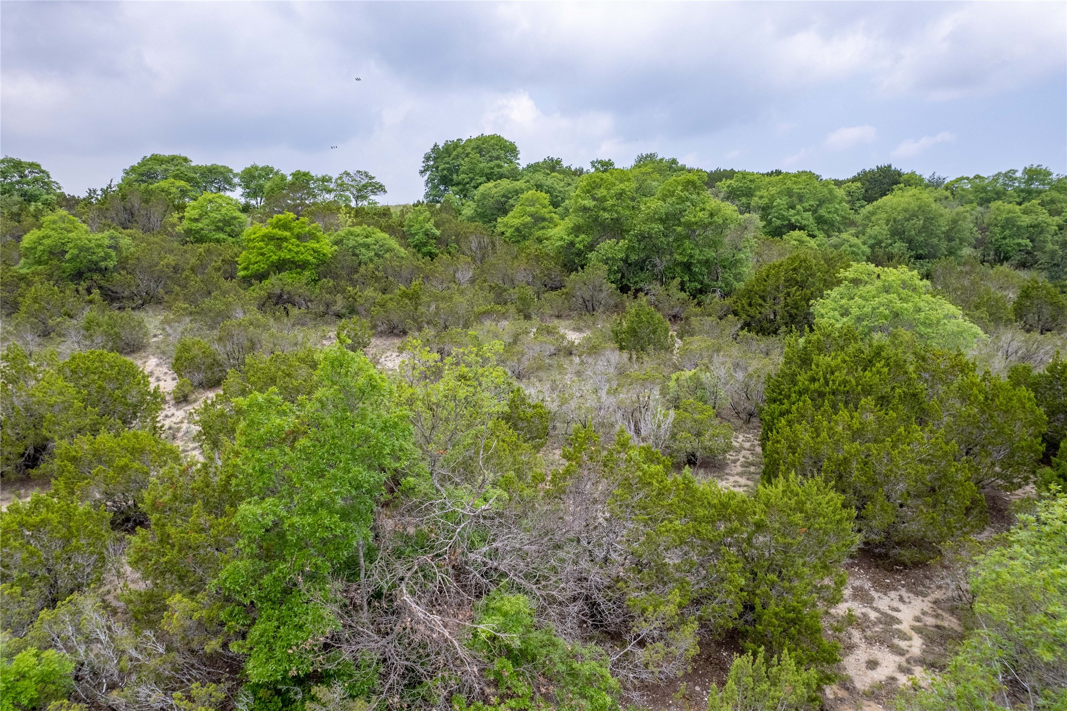 1805 Lakeside Bluff Dale TX 76433