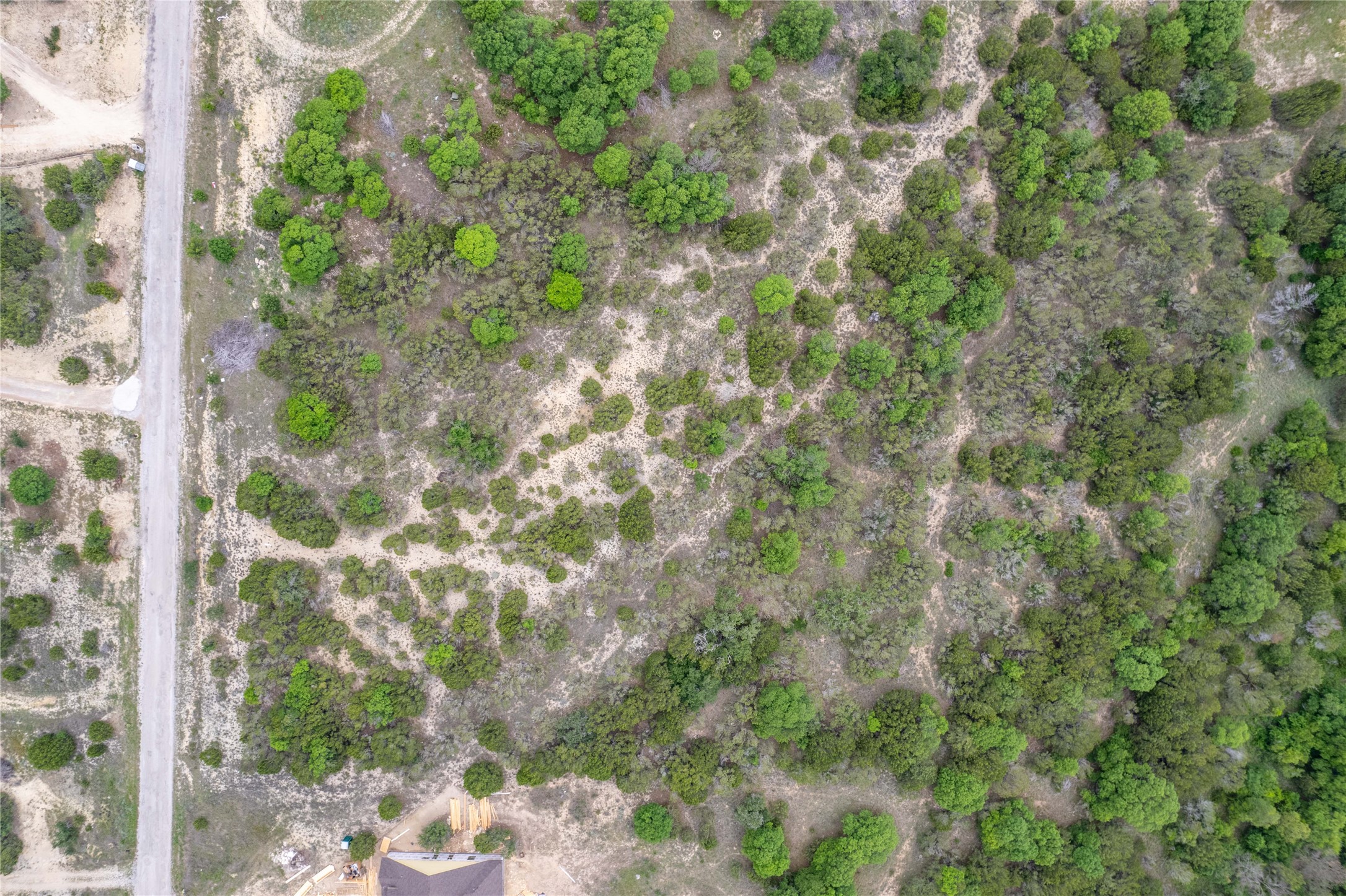 1805 Lakeside Bluff Dale TX 76433