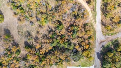 Lot 54 Nelson Drive Sulphur Springs TX 75482