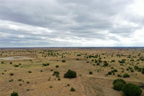 1588 County Road 118 Carlton TX 76436