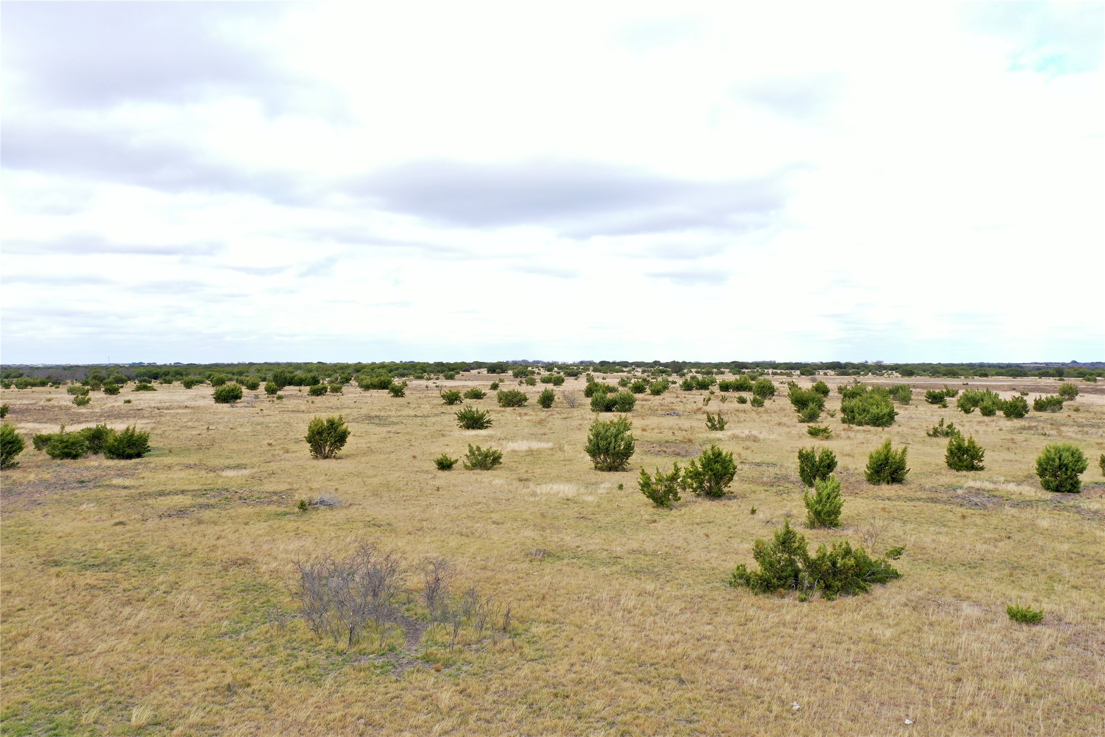 1588 County Road 118 Carlton TX 76436