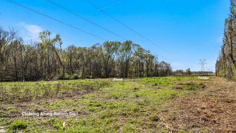 Tbd County Road 462 Mineola TX 75773