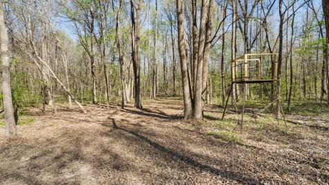 Tbd County Road 462 Mineola TX 75773