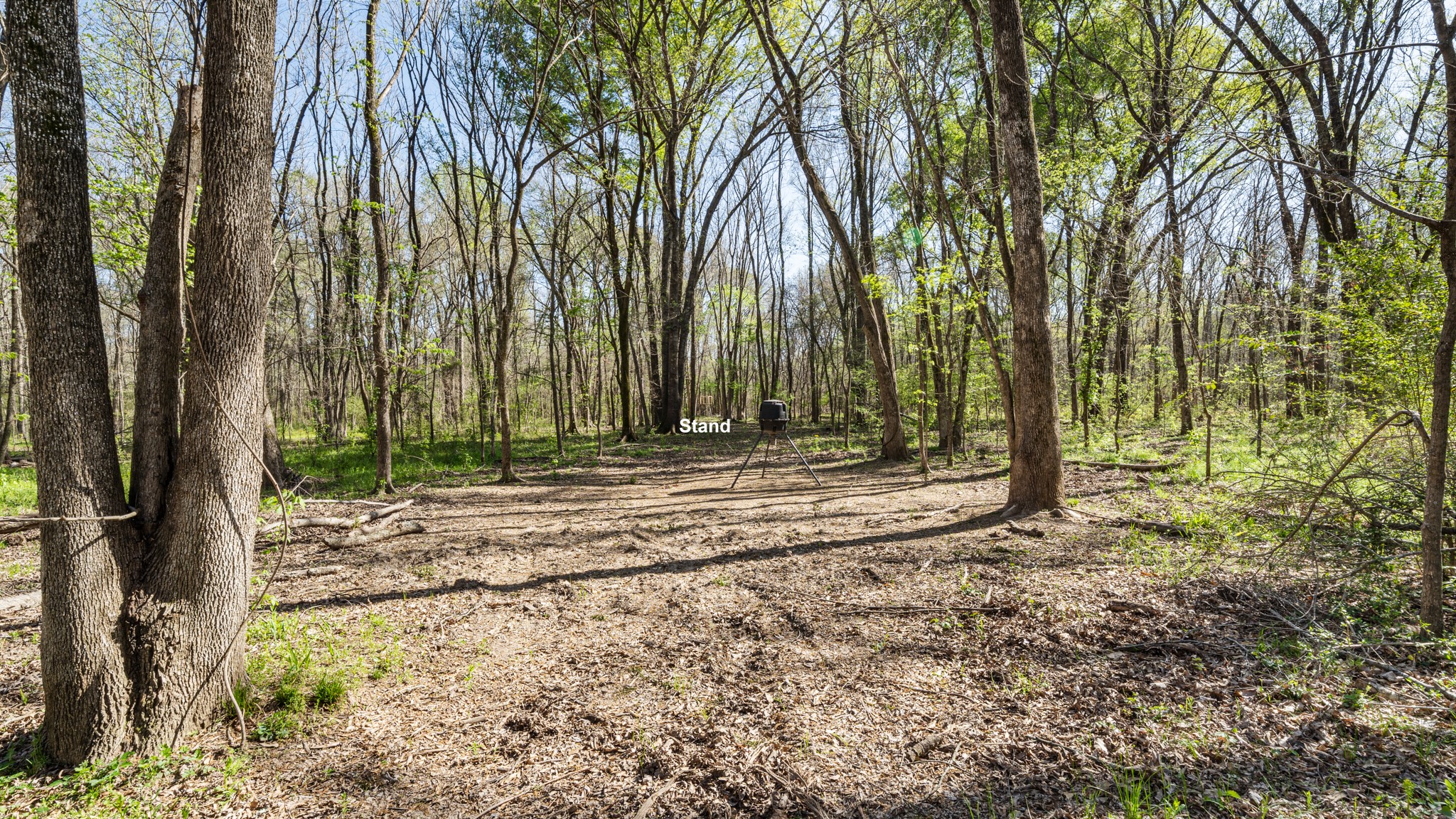 Tbd County Road 462 Mineola TX 75773