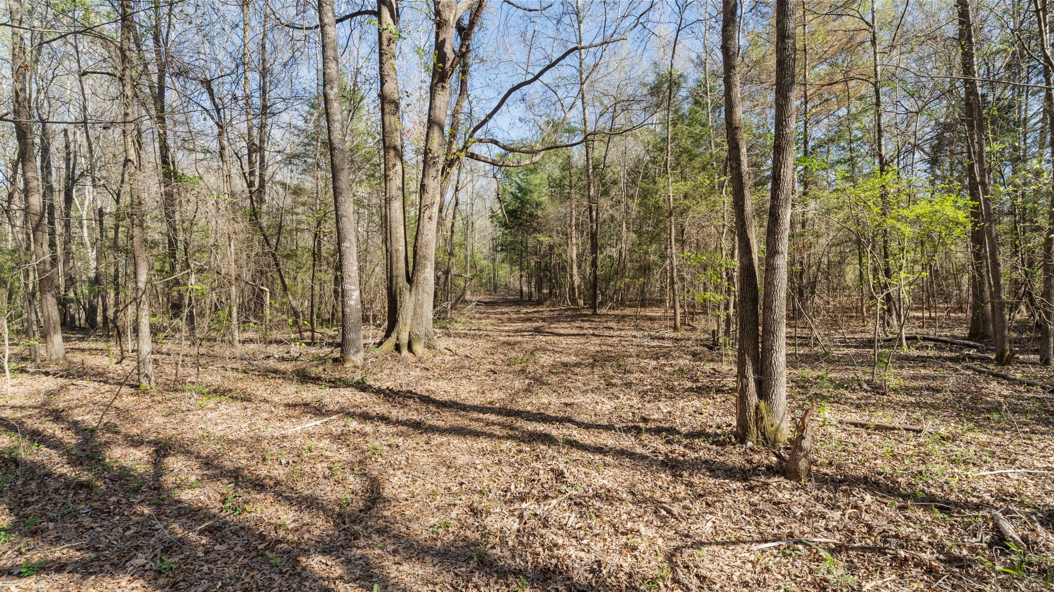 Tbd County Road 462 Mineola TX 75773
