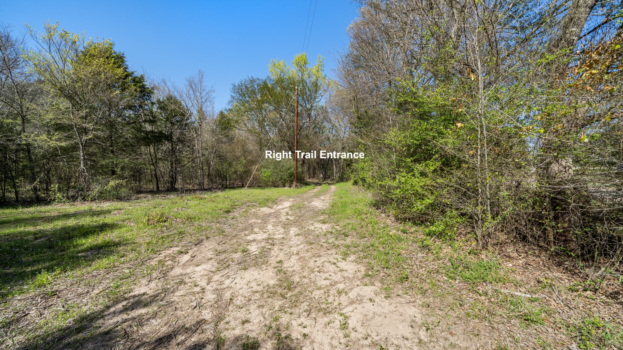 Tbd County Road 462 Mineola TX 75773
