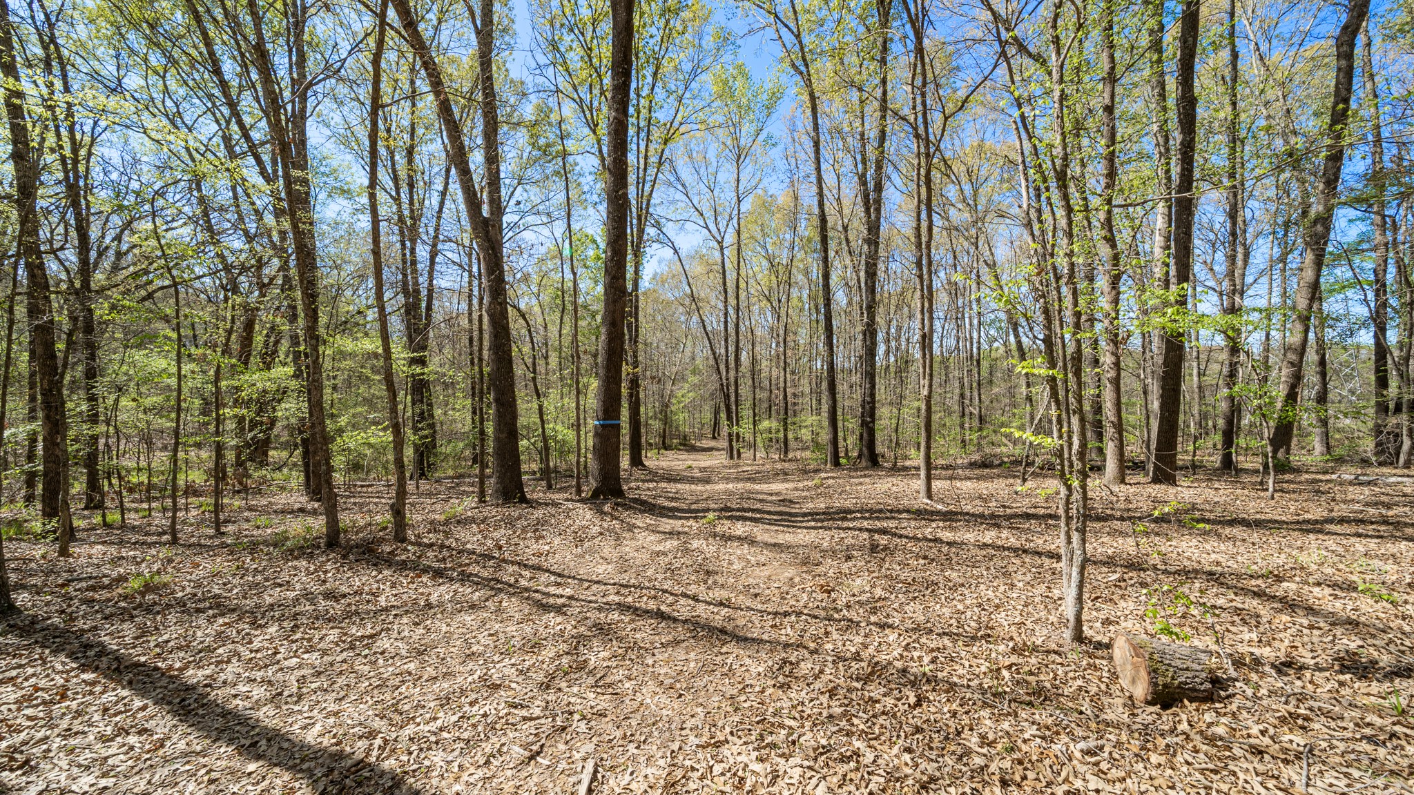 Tbd County Road 462 Mineola TX 75773