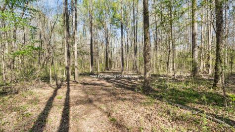 Tbd County Road 462 Mineola TX 75773