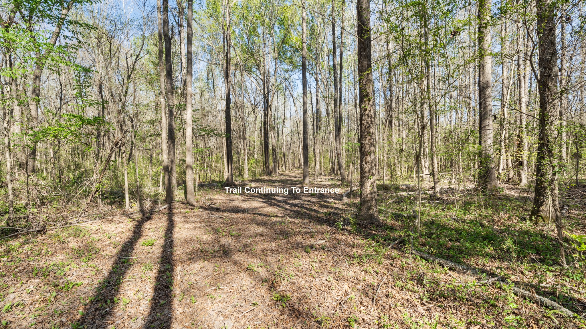 Tbd County Road 462 Mineola TX 75773