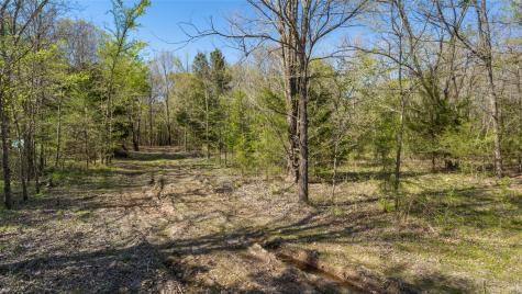 Tbd County Road 462 Mineola TX 75773