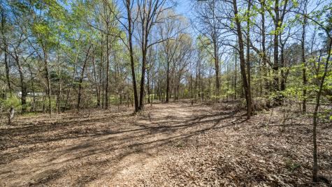 Tbd County Road 462 Mineola TX 75773