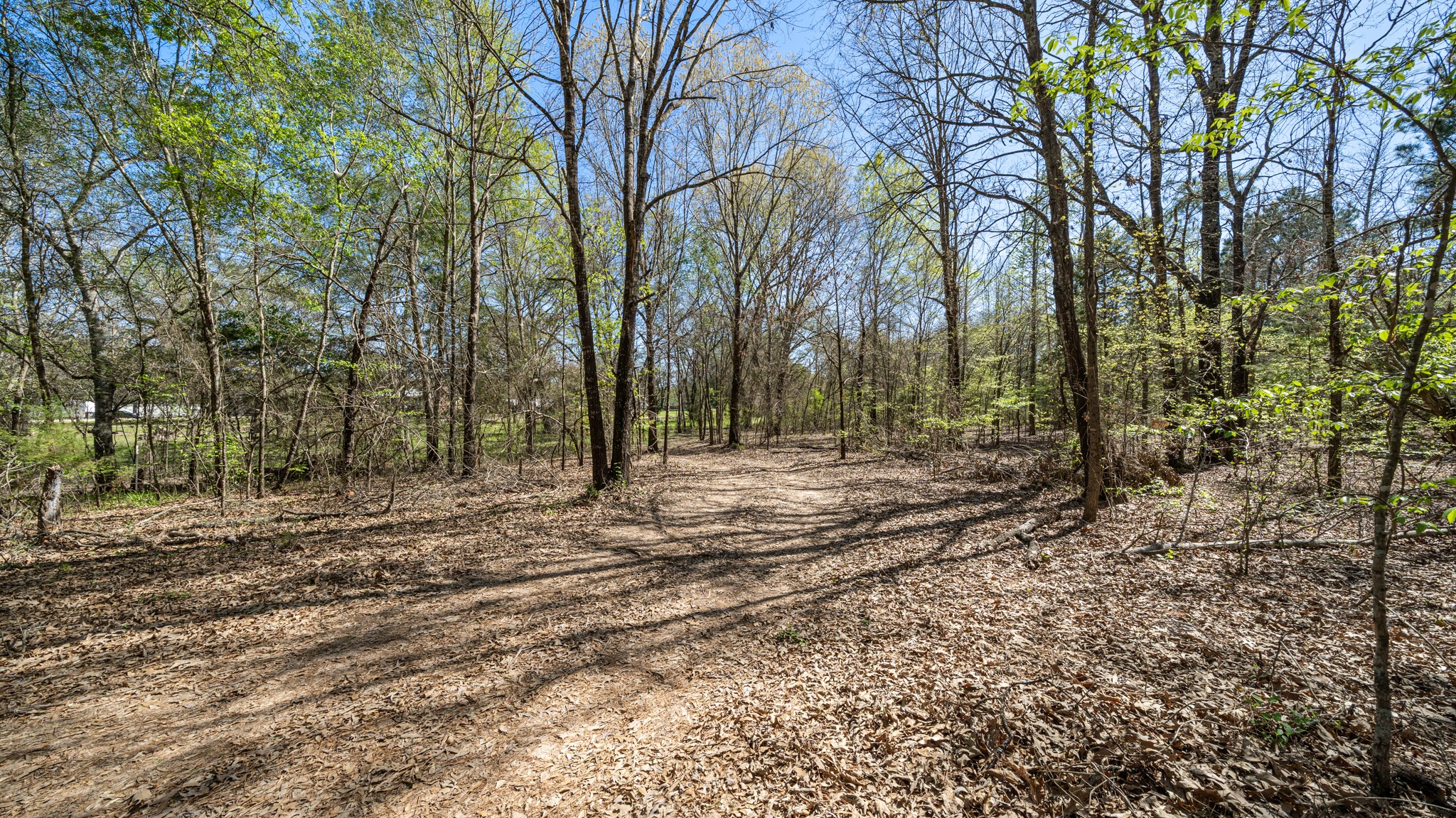 Tbd County Road 462 Mineola TX 75773
