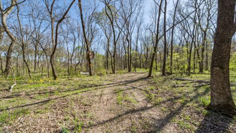 Tbd County Road 462 Mineola TX 75773