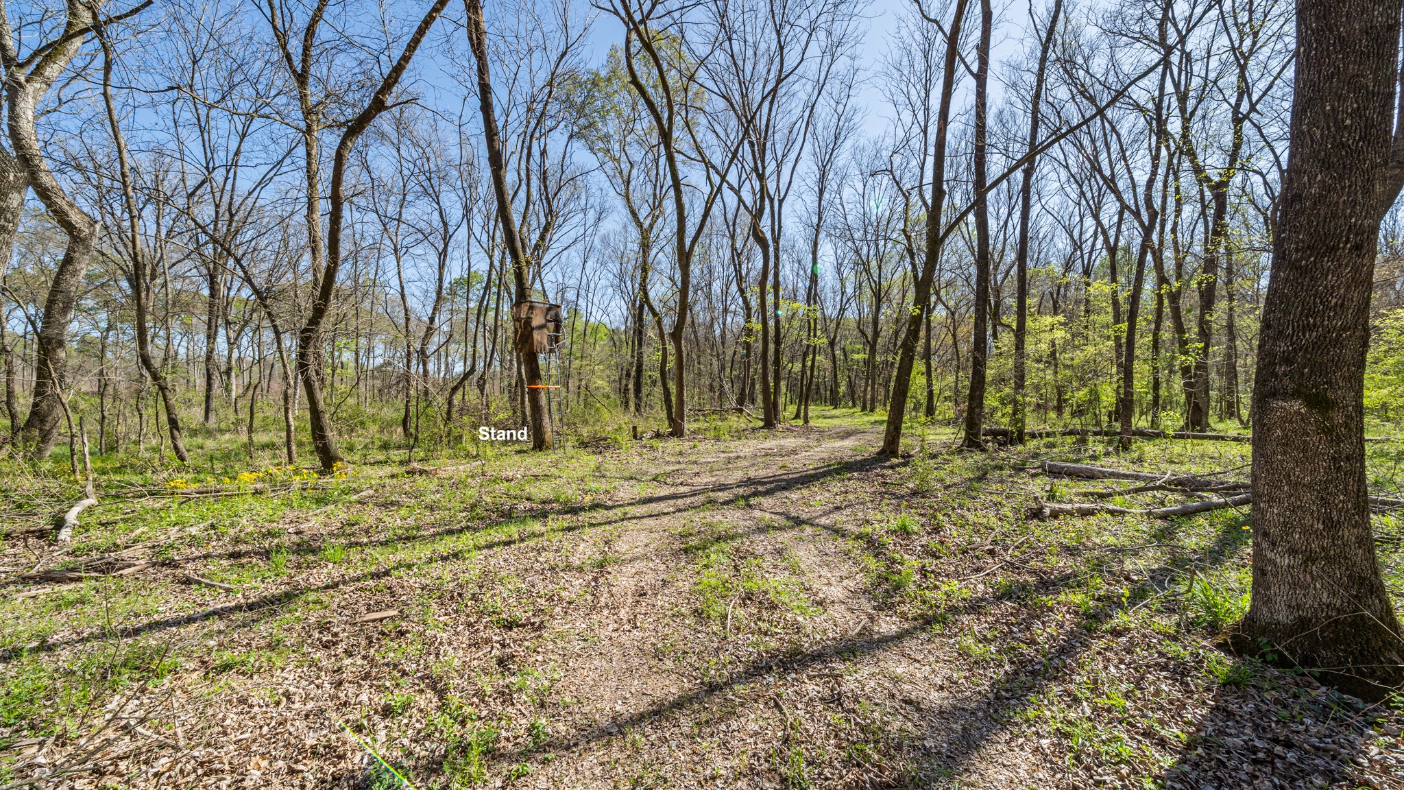 Tbd County Road 462 Mineola TX 75773