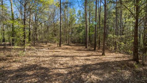Tbd County Road 462 Mineola TX 75773