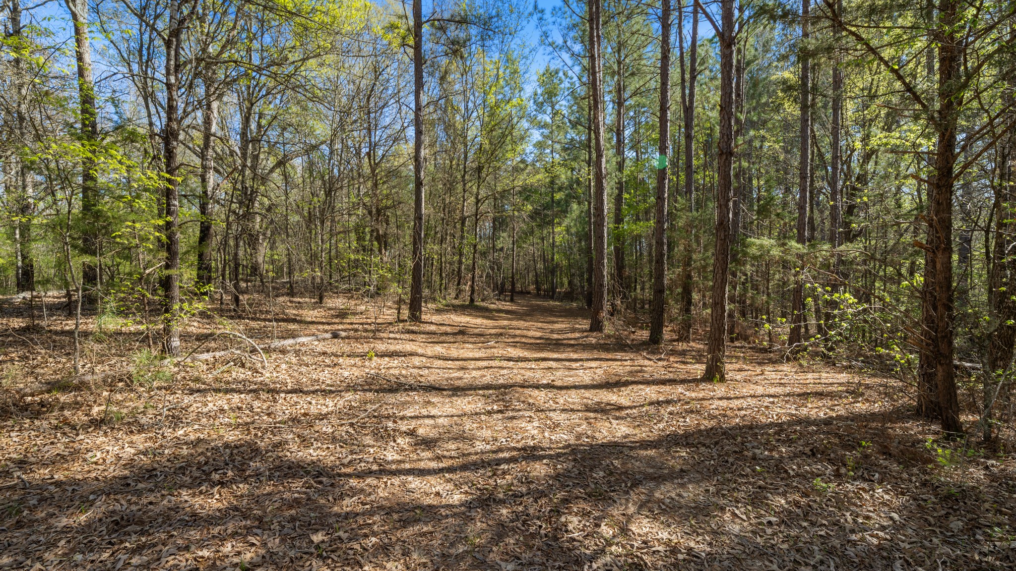 Tbd County Road 462 Mineola TX 75773