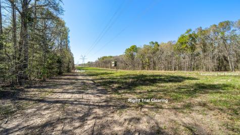 Tbd County Road 462 Mineola TX 75773