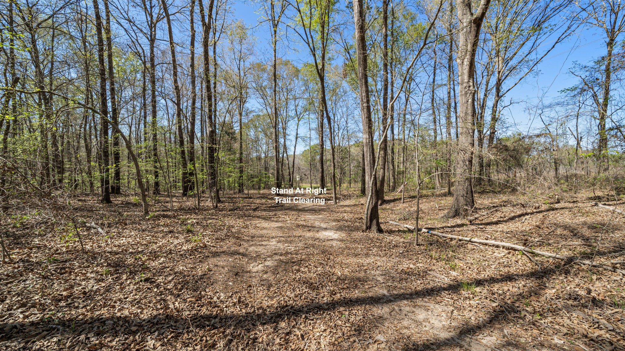 Tbd County Road 462 Mineola TX 75773