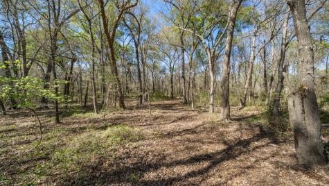Tbd County Road 462 Mineola TX 75773