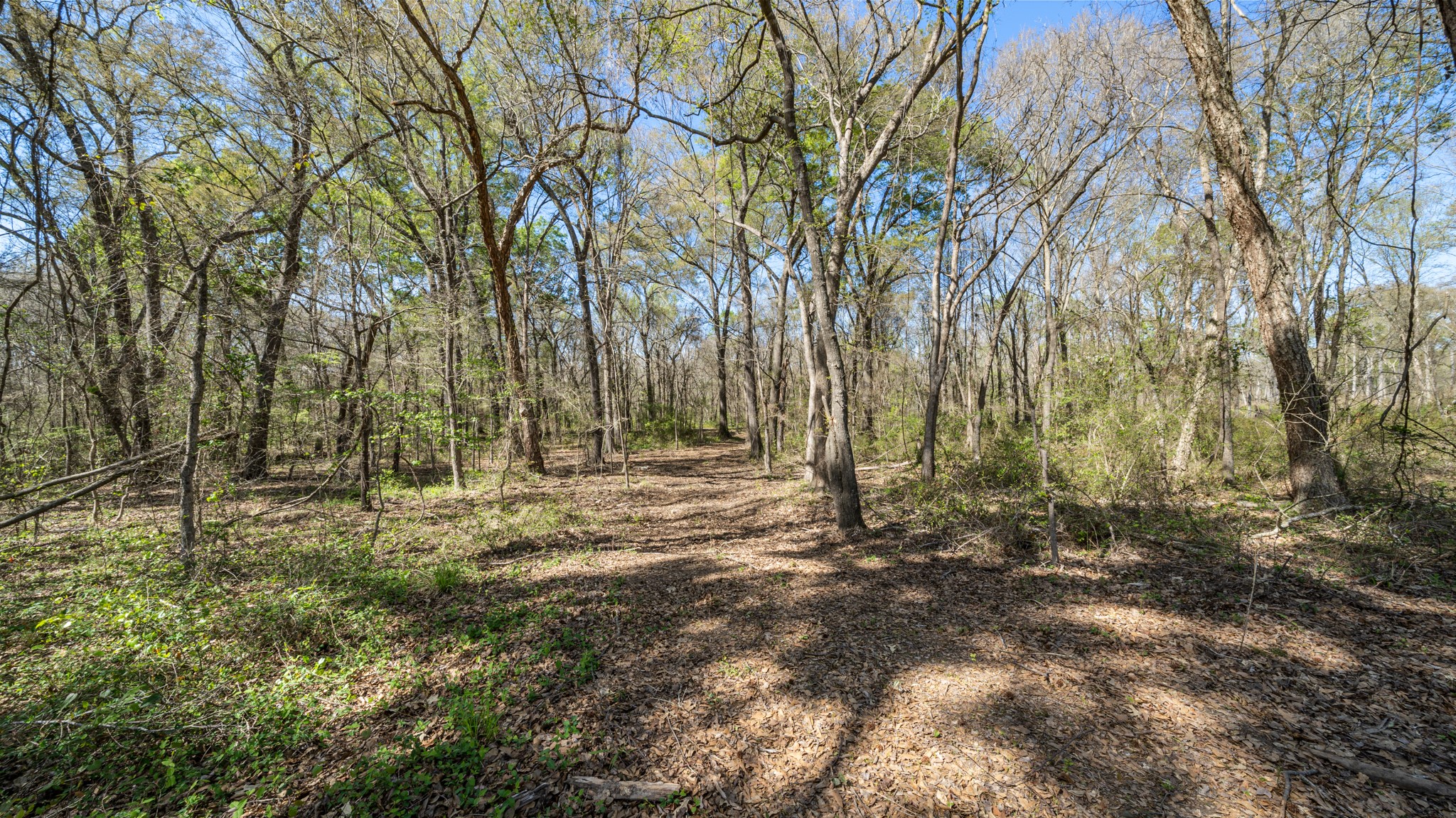 Tbd County Road 462 Mineola TX 75773
