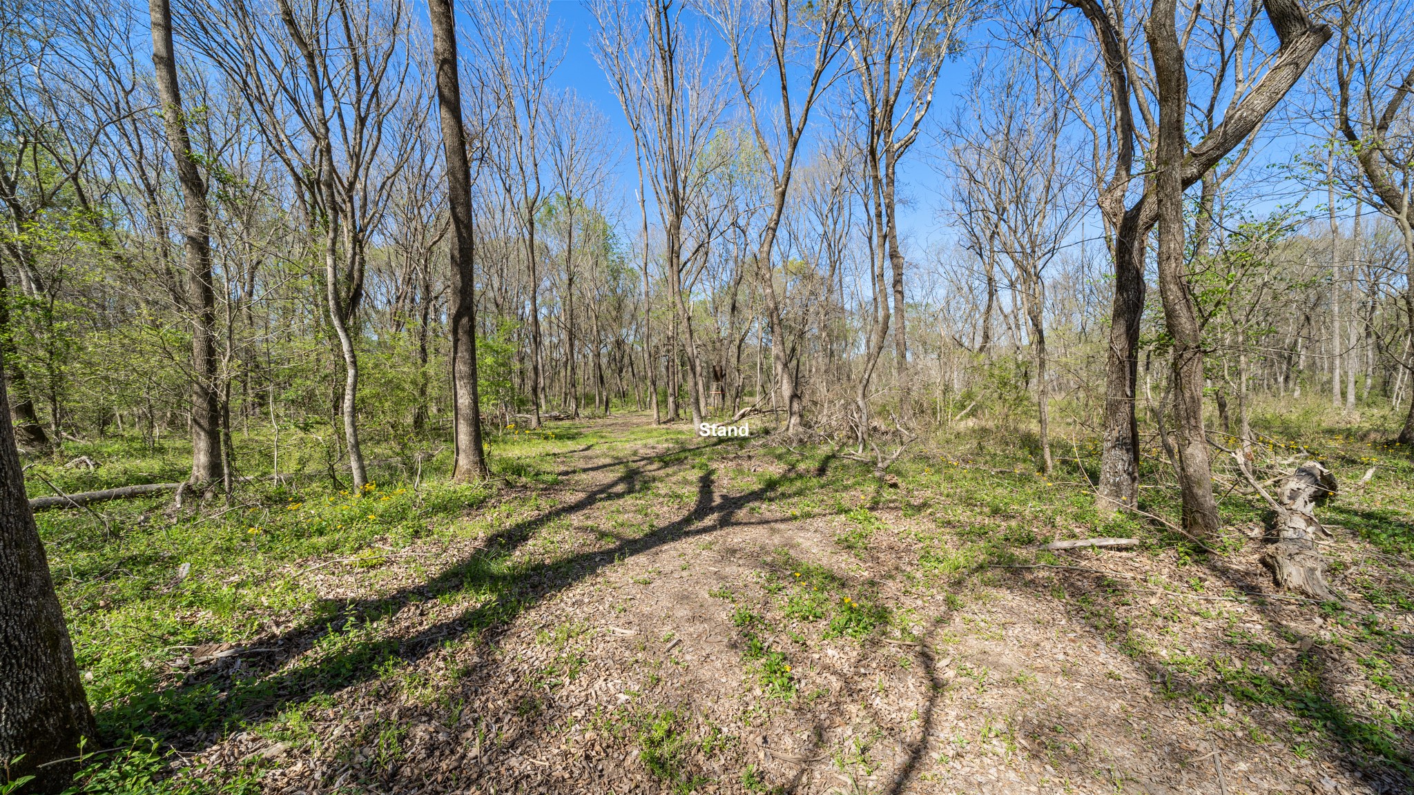 Tbd County Road 462 Mineola TX 75773