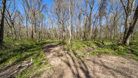 Tbd County Road 462 Mineola TX 75773