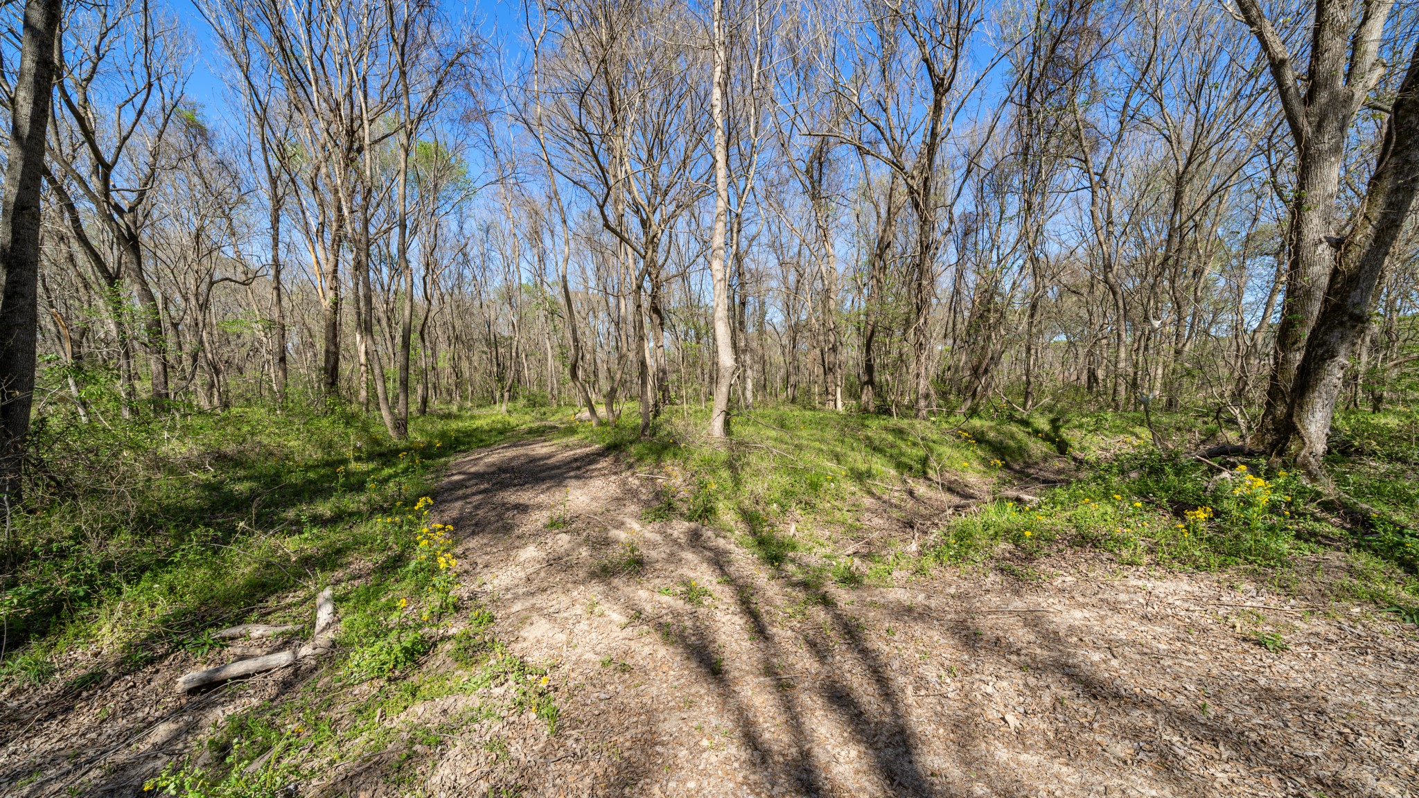 Tbd County Road 462 Mineola TX 75773