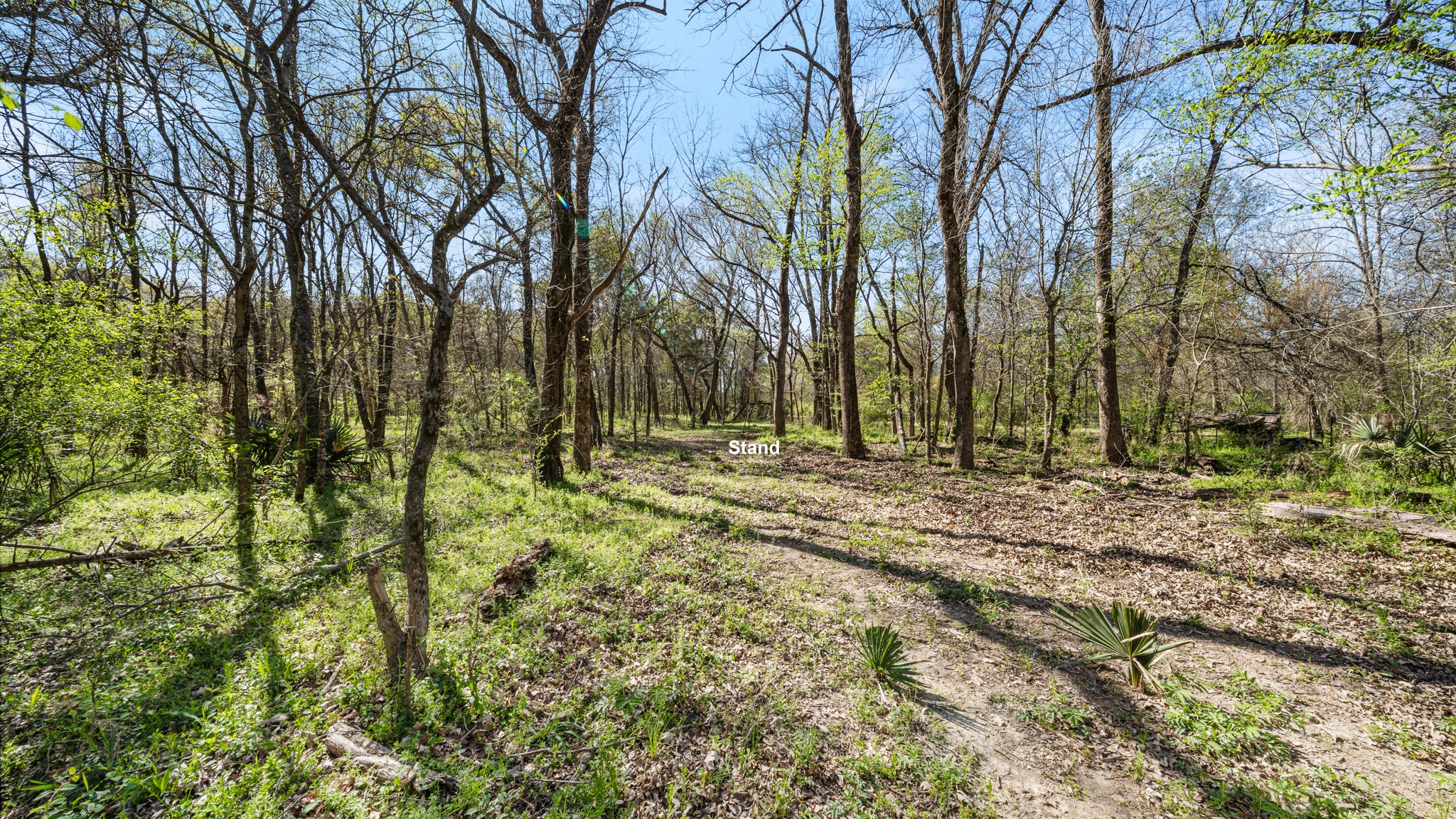 Tbd County Road 462 Mineola TX 75773