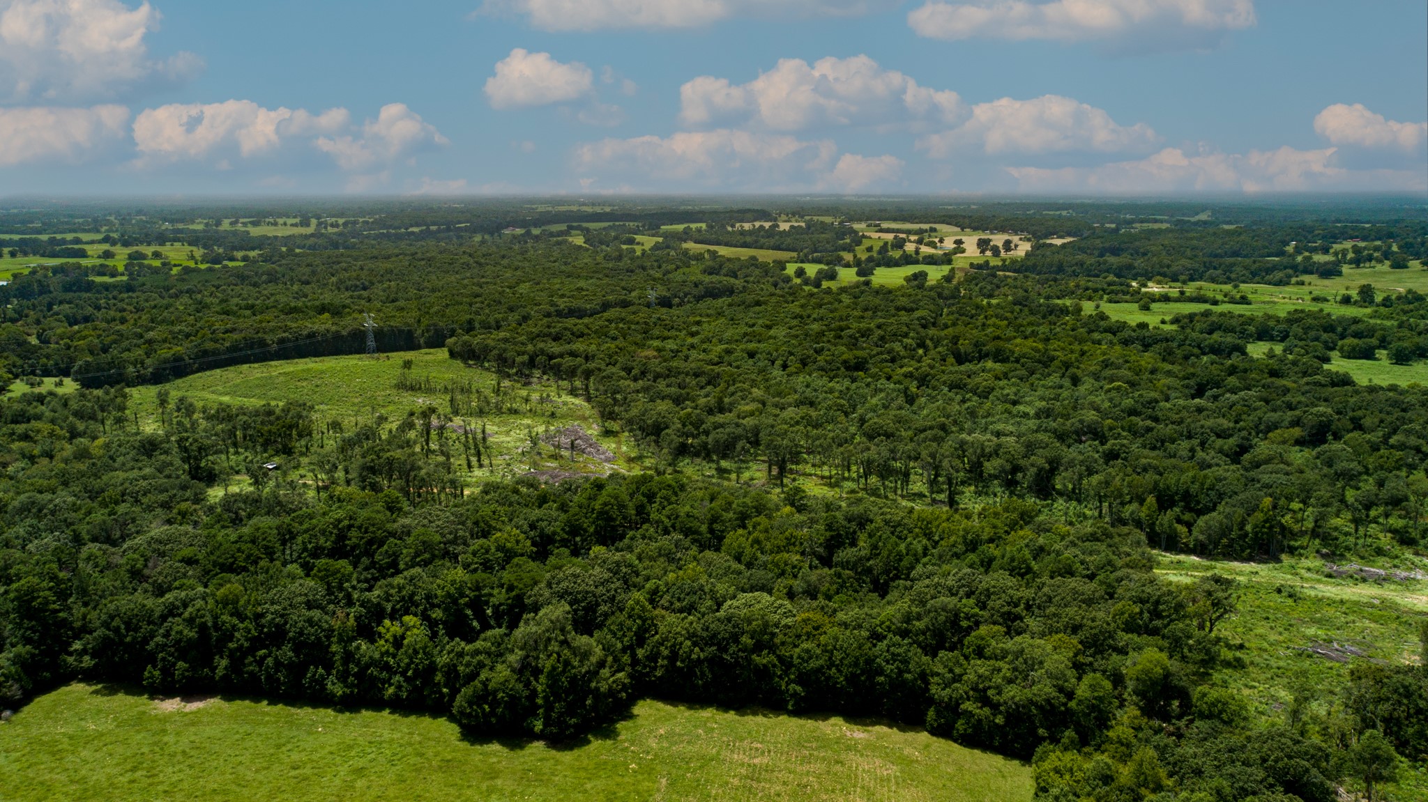 Tbd County Road 462 Mineola TX 75773