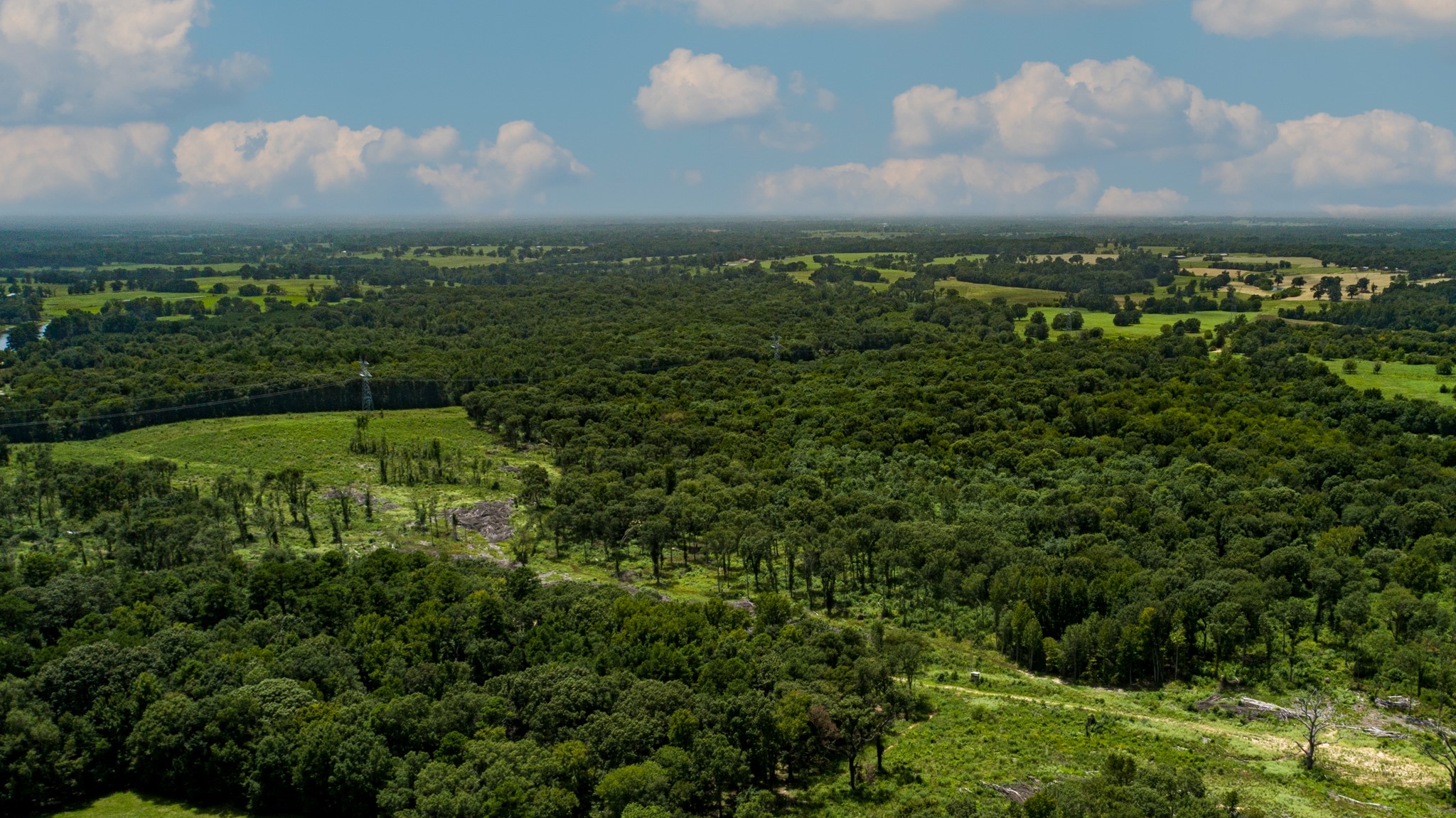 Tbd County Road 462 Mineola TX 75773
